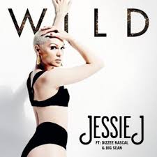 jessie j wild