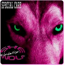 fiordaliso she wolf copertina cover special care